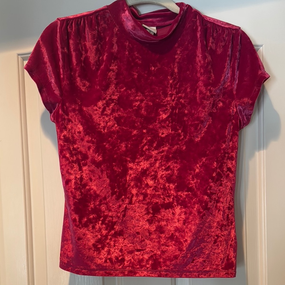 Fitted Pink Velvet Short Sleeve